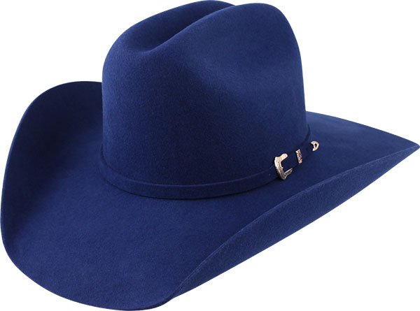 12011666-Arizona-VI-3250