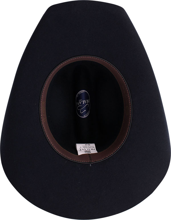 12011666-Arizona-VI-3350-interno