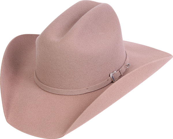 12011666-Arizona-VI-3671-baixa