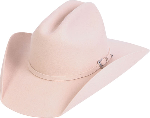 12011666-Arizona-VI-3727-baixa