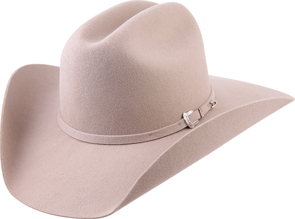 12011666-Arizona-VI-3930