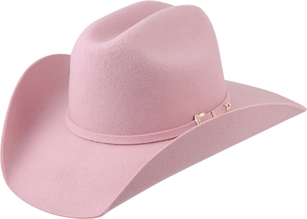 12011666-Arizona-VI-3975-baixa