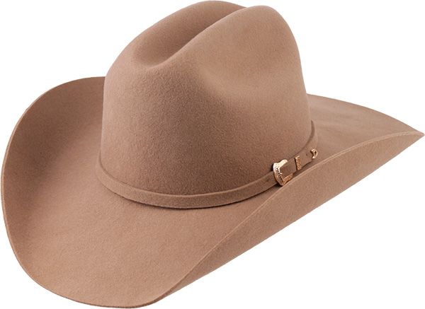 12011666-Arizona-VI-3991