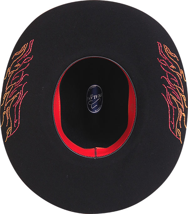 12012454-Horse-Fire-3360-aba-baixa