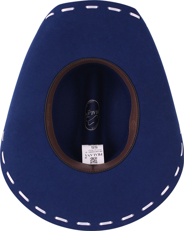 12012462-Arizona-Trend-7300-Interno