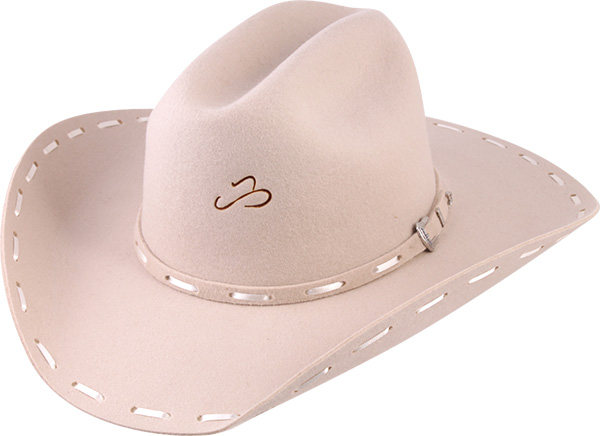 12012462-Arizona-Trend-7307