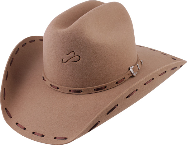 12012462-Arizona-VI-7304