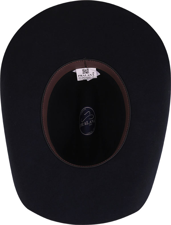 12012485-American-Horse-3350-interno