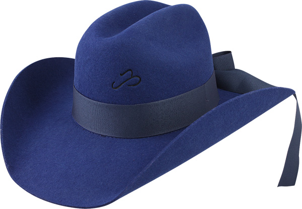 12012494-Arizona-Miss-3250