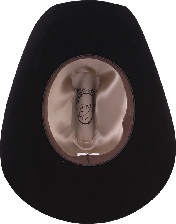 12012494-Arizona-Miss-3360-interno