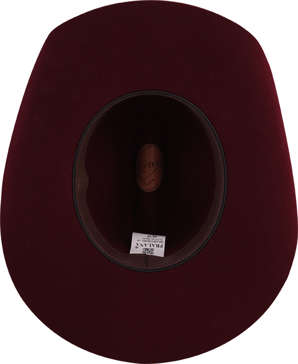 12014710-Arizona-Daisy-3511-interno