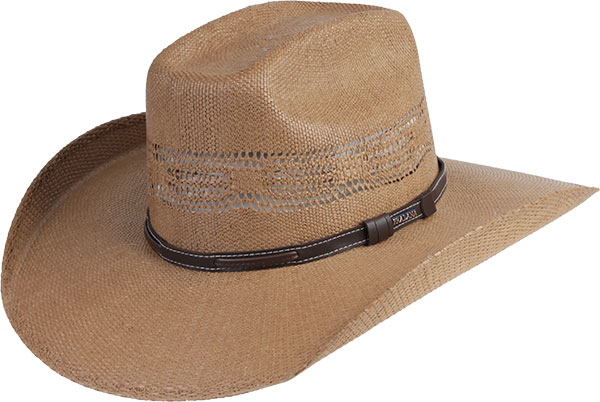 18012943-Bangora-Country-Side-3672