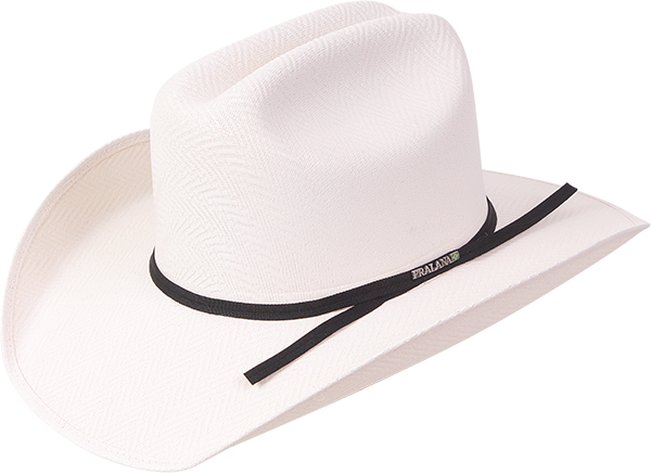 Arizona Infantil Cotton