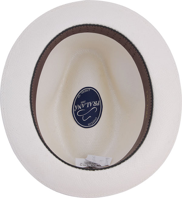 17019952-Galante-Paper-3000-interno