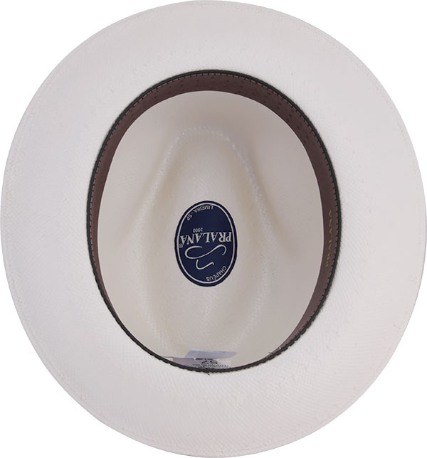 17019954-Paper-Glaz-3000-interno