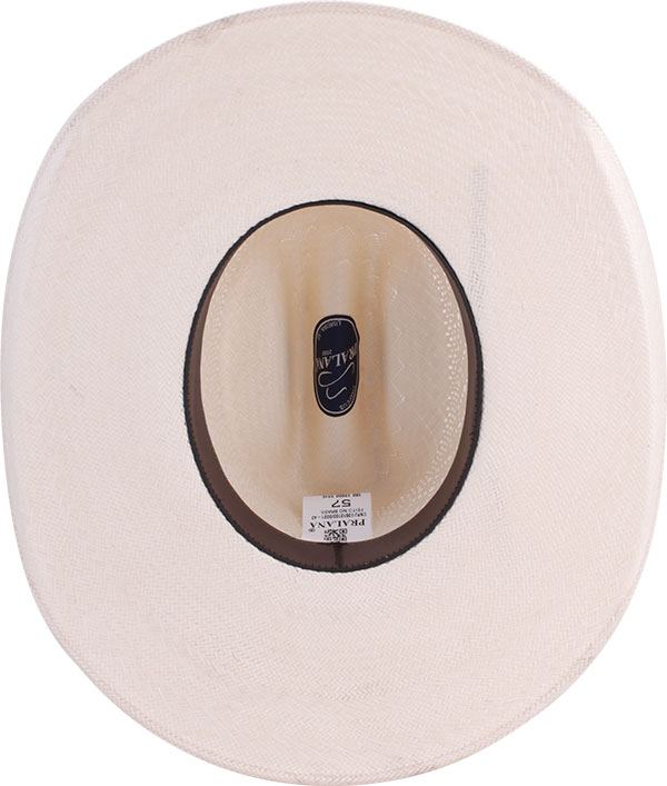 18012890-Horse-Vent-30X-interno