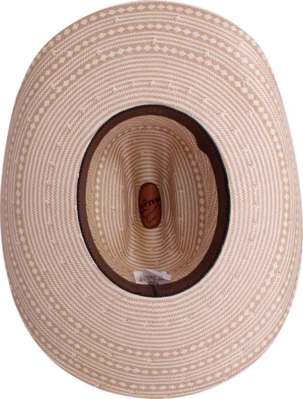 18012948-Horse-Vegas-3000-interno