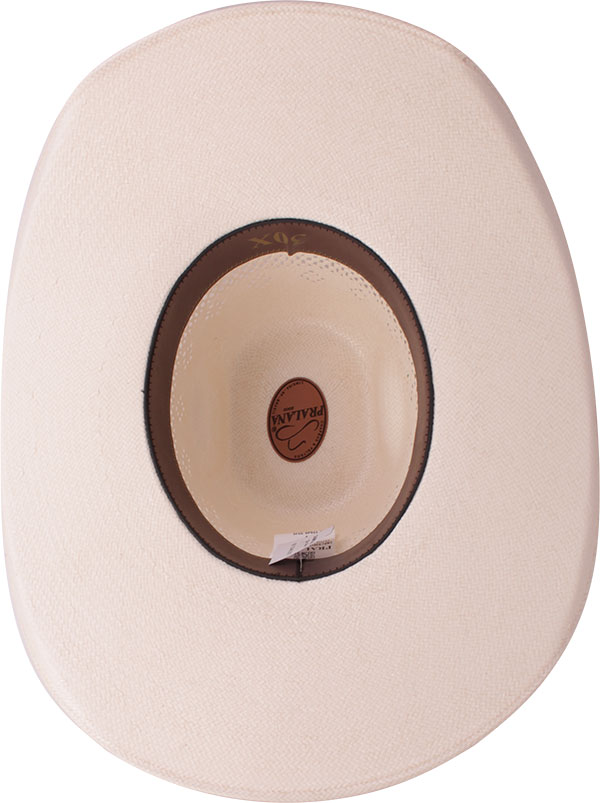 18012949-Champion-Calgary-3315-interno