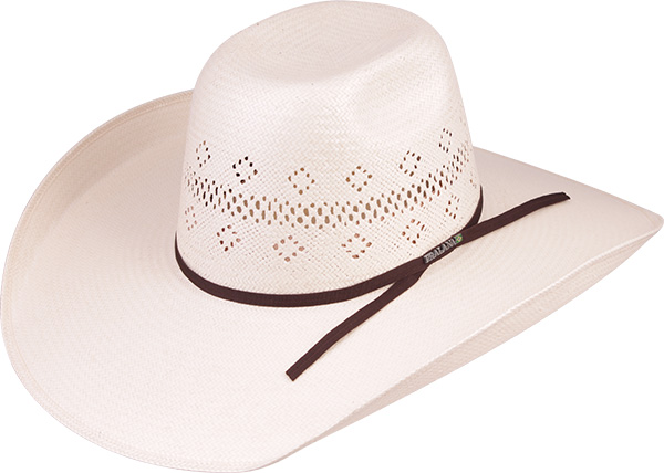 Champion Calgary 30X