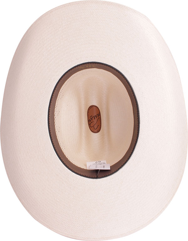 18012951-Horse-Calgary-3315-interno