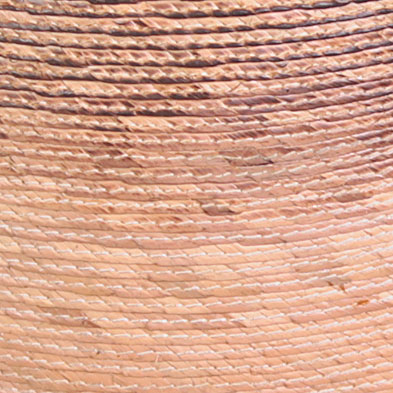3000-Natural2-Palm